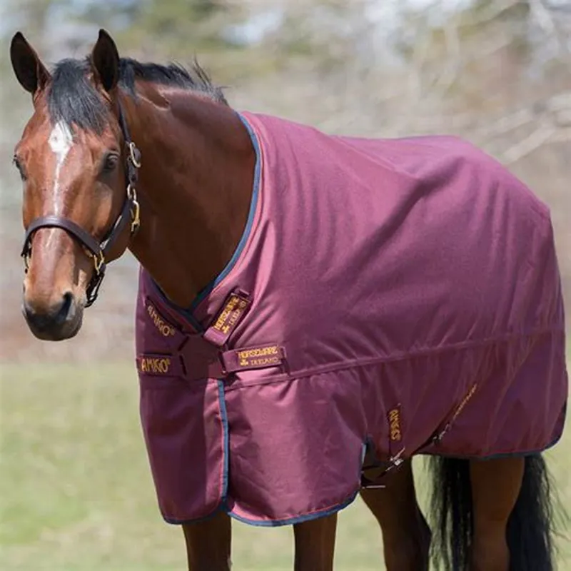Horseware Amigo Hero ACY Lite Turnout Rug with Disc Front - Burgundy/Orange/Navy